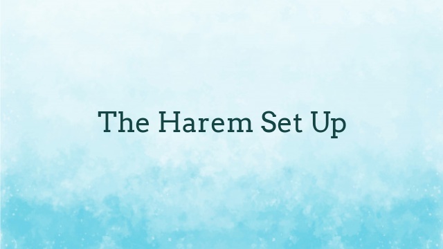 The Harem Set Up