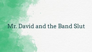 Mr. David and the Band Slut