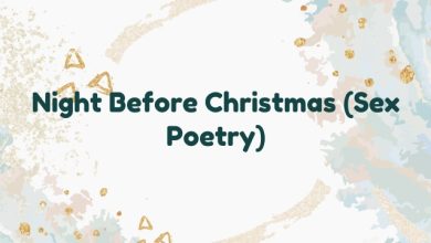 Night Before Christmas (Sex Poetry)