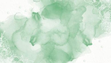 წოვის მოყვარული ანი