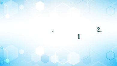 Мышка. Книга 2. Глава 1