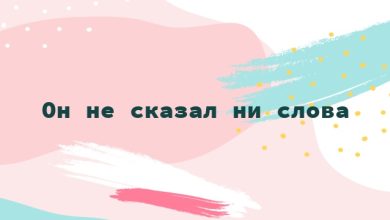 Он не сказал ни слова